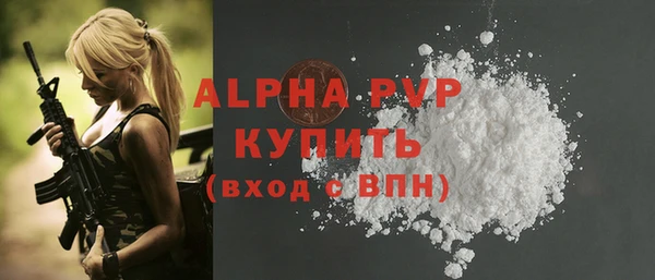 индика Богданович