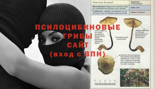 индика Богданович